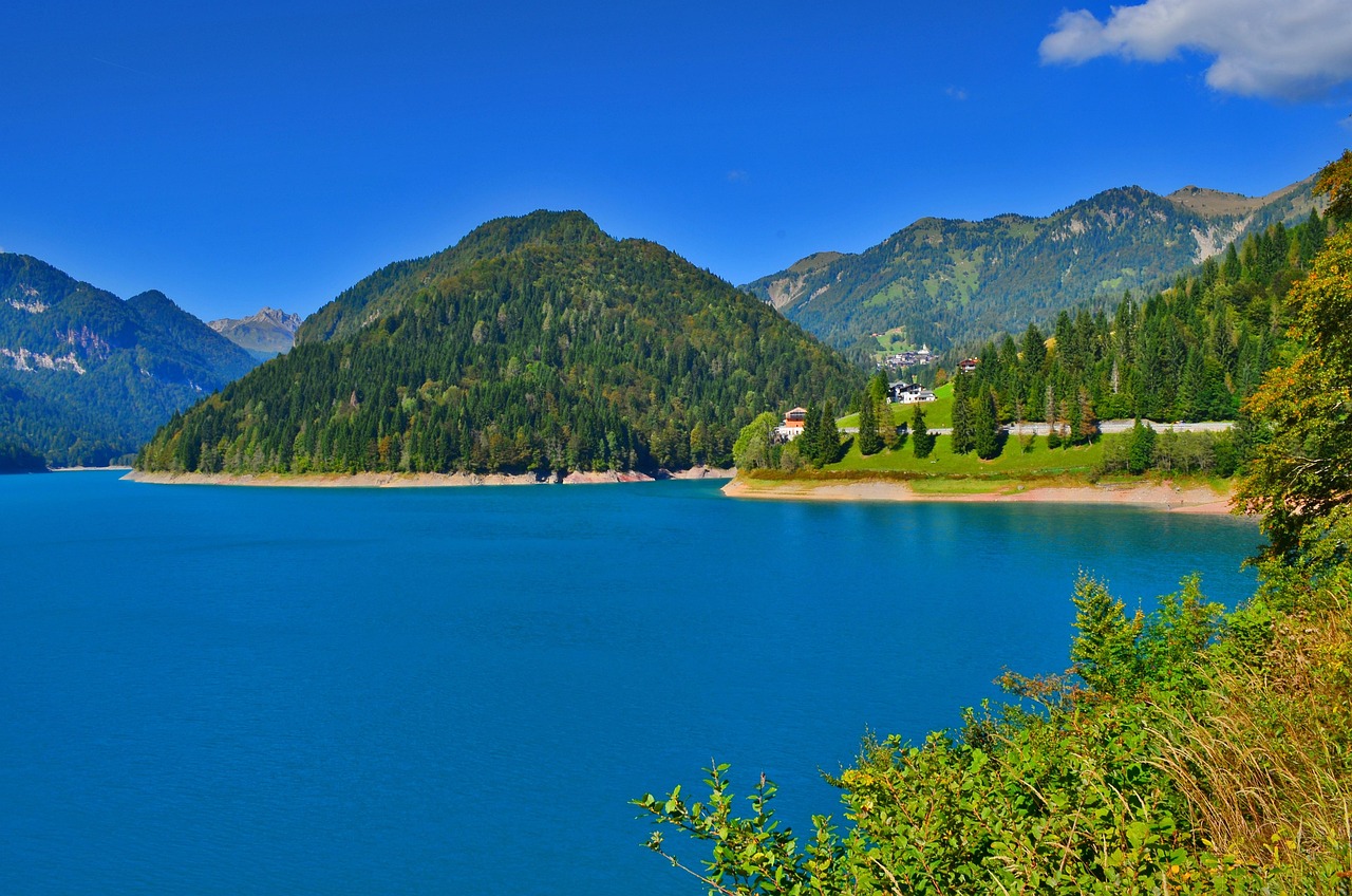 Sauris
